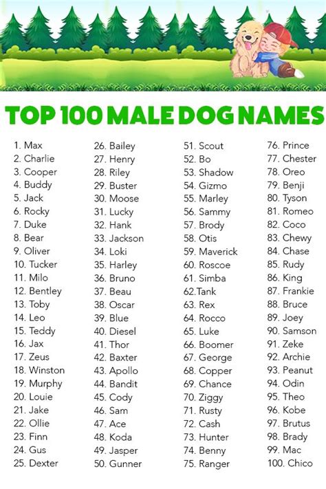 The most popular dog names of 2023 in Illinois